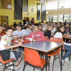 cursos junior dublin alpha