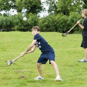 cursos junior dublin alpha