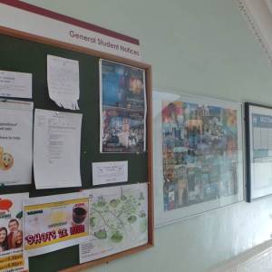 Alpha College of English