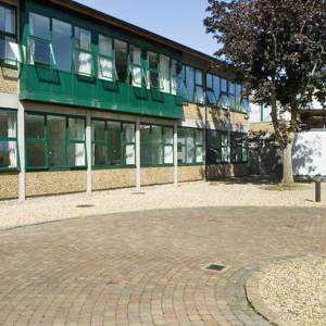 cursos junior dublin alpha